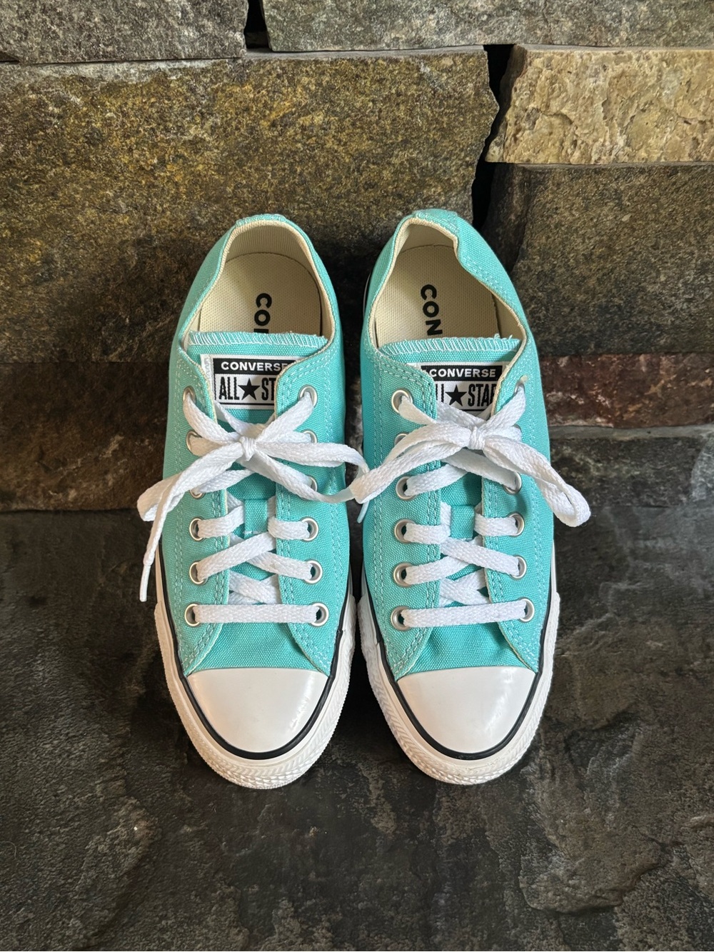 Converse Chuck Taylor All Star Low Tops